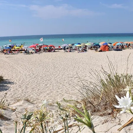 Ilaria Torre Lapillo